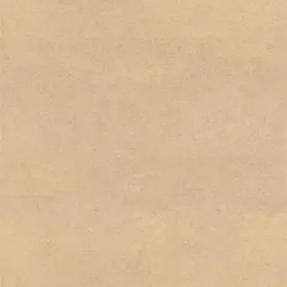 Profile image of ハヤト