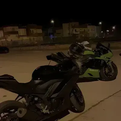 KnottySnail3050의 The Asphalt Crows