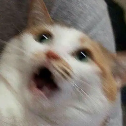RawEasel1989의 코코니를 도발해? 참을수없어!!!!!
