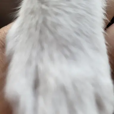 Profile image of 이여우