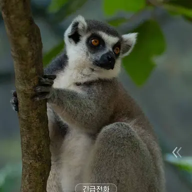 Profile image of 소라