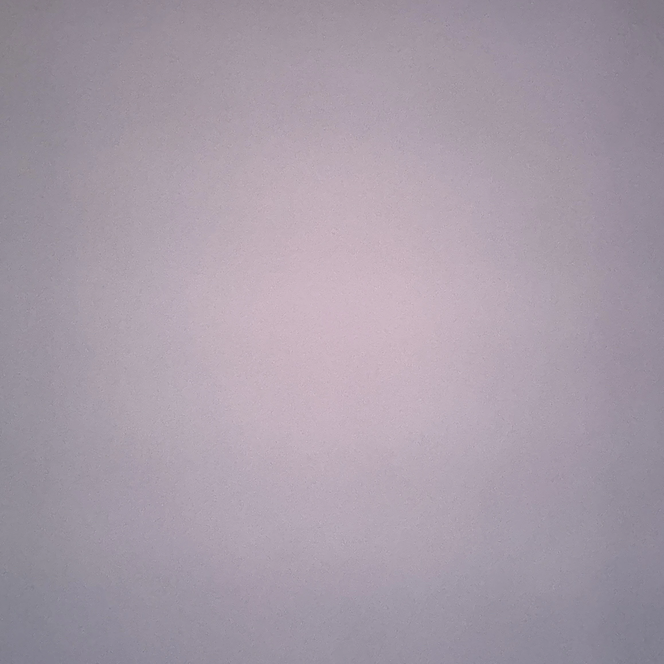 집사