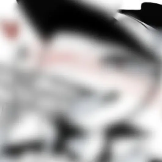 VitalFire7072의 长官