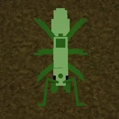Profile image of 나뭇잎개미여왕