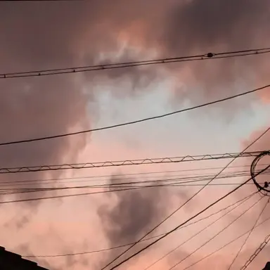 Profile image of ポルト