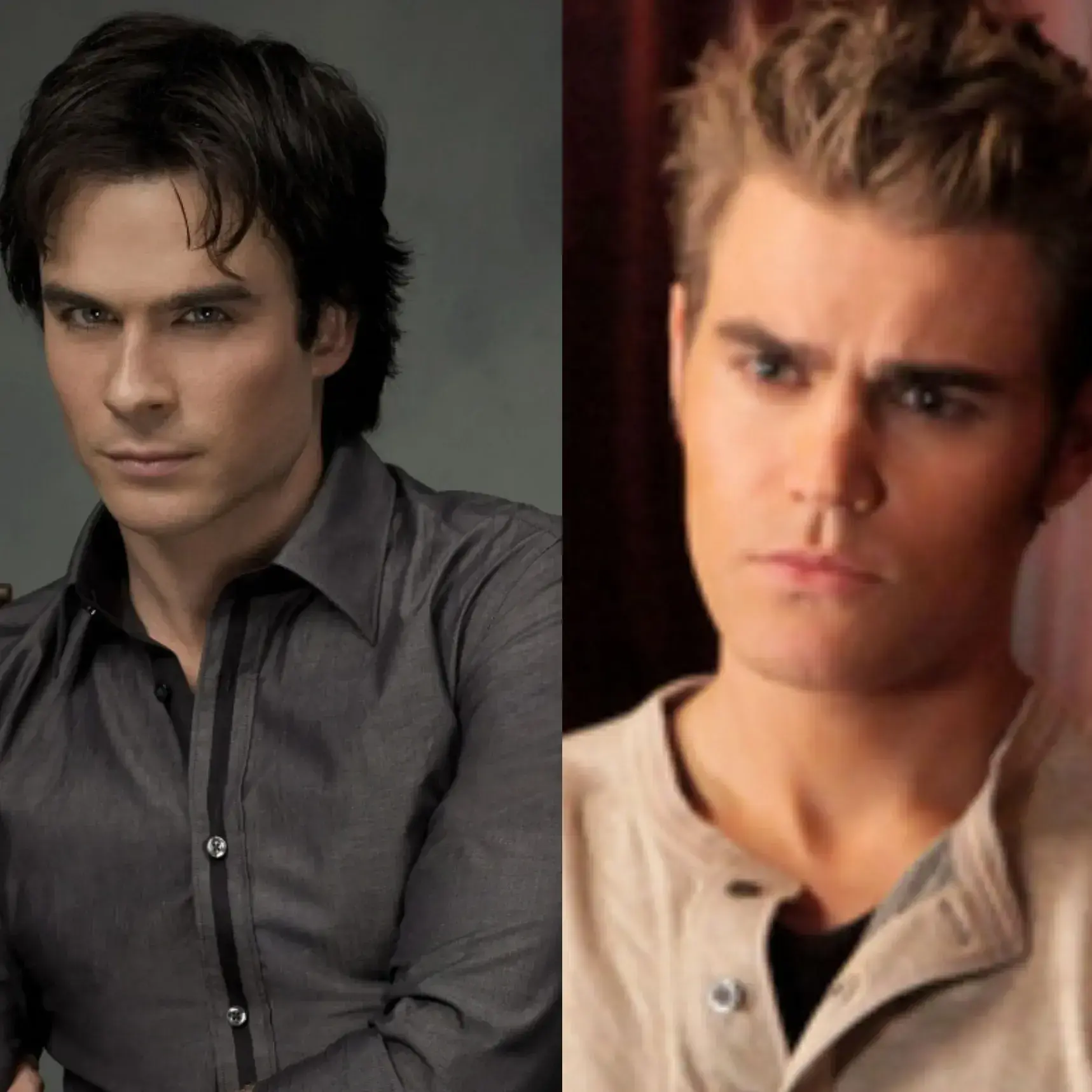 GustySnack9526의 Damon and Stefan Salvatore