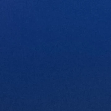 アホ人間。