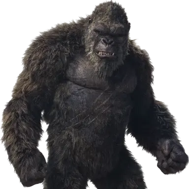 Profile image of 킹콩