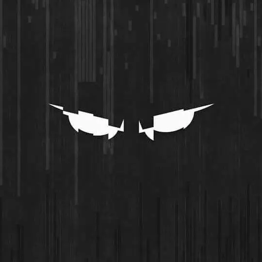 VIGIL의 비질
