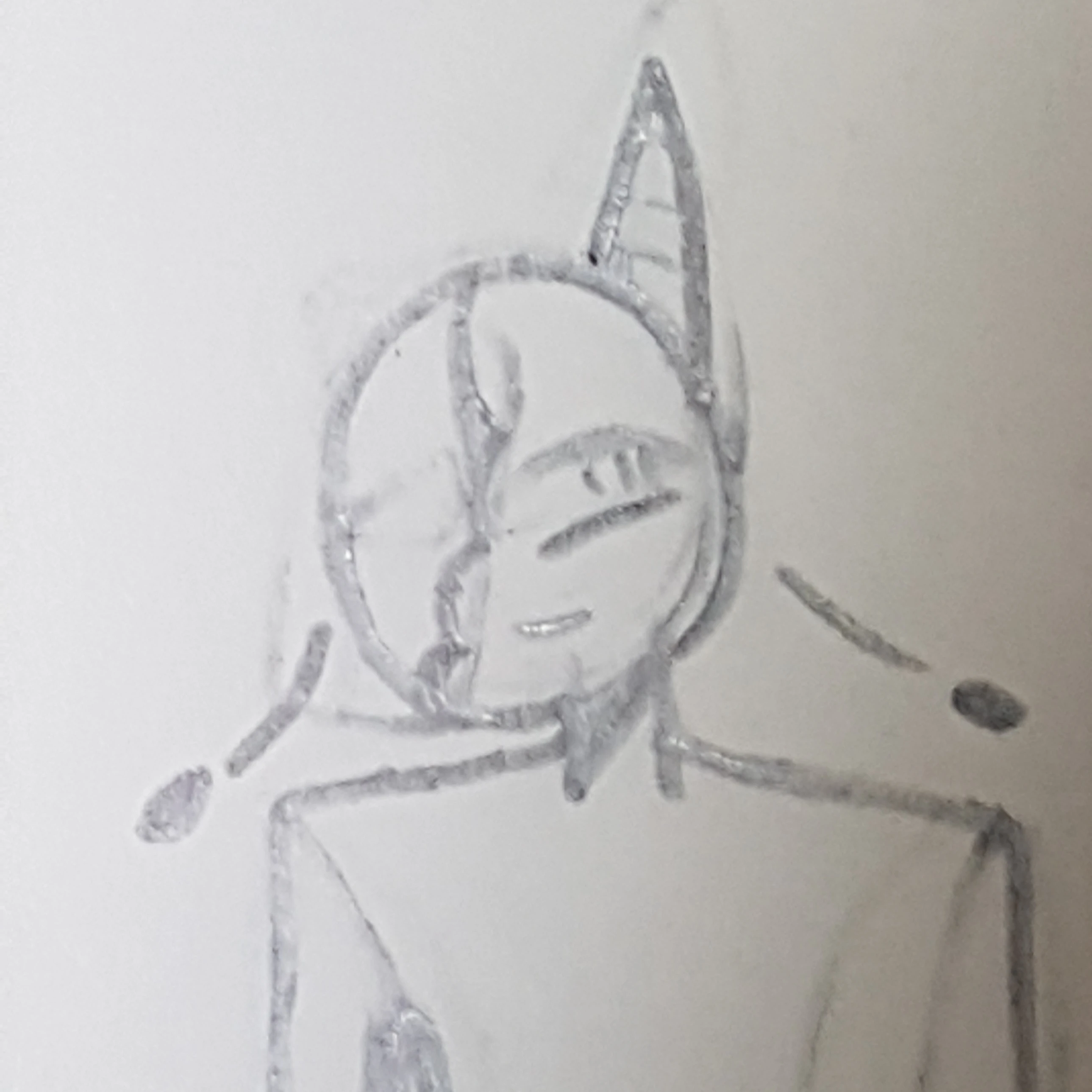 Ver