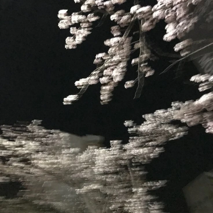 에스파