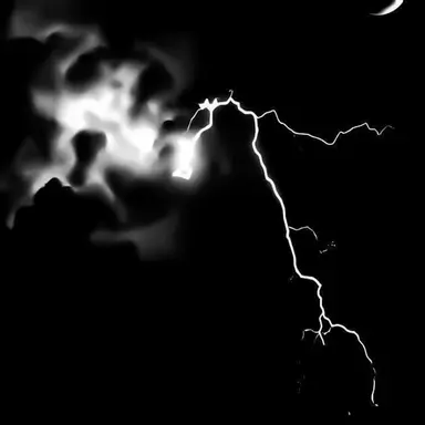 Profile image of 닝이줘