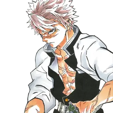 Profile image of 시나즈가와 사네미