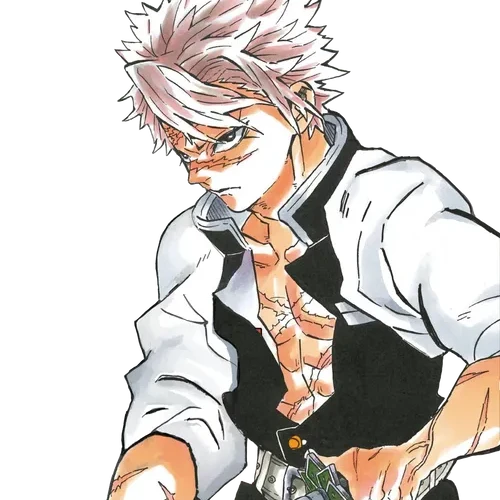 시나즈가와 사네미