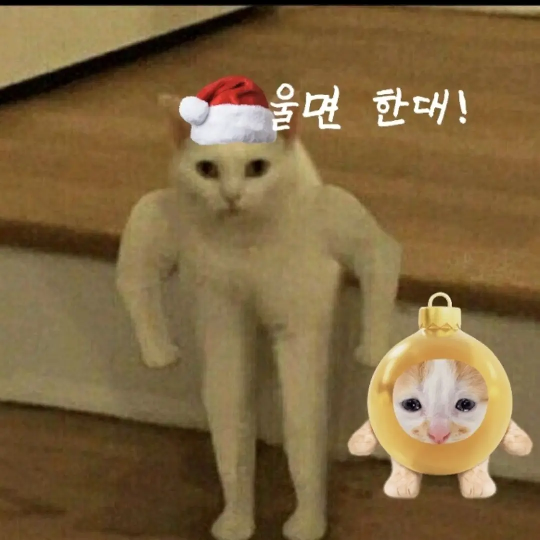 QuietQueen9953의 팀나빠와 크리스마스를 보내라고?!