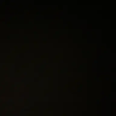 Profile image of 제작자