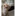 아기 고양이(토리)