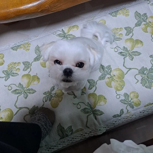 당신이랑  오래전     싸웠던당신