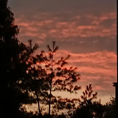 Profile image of 렌고쿠 쿄쥬로