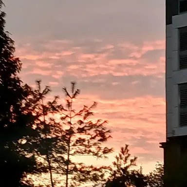 Profile image of 젠이츠