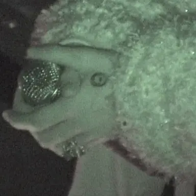 Profile image of 권지용