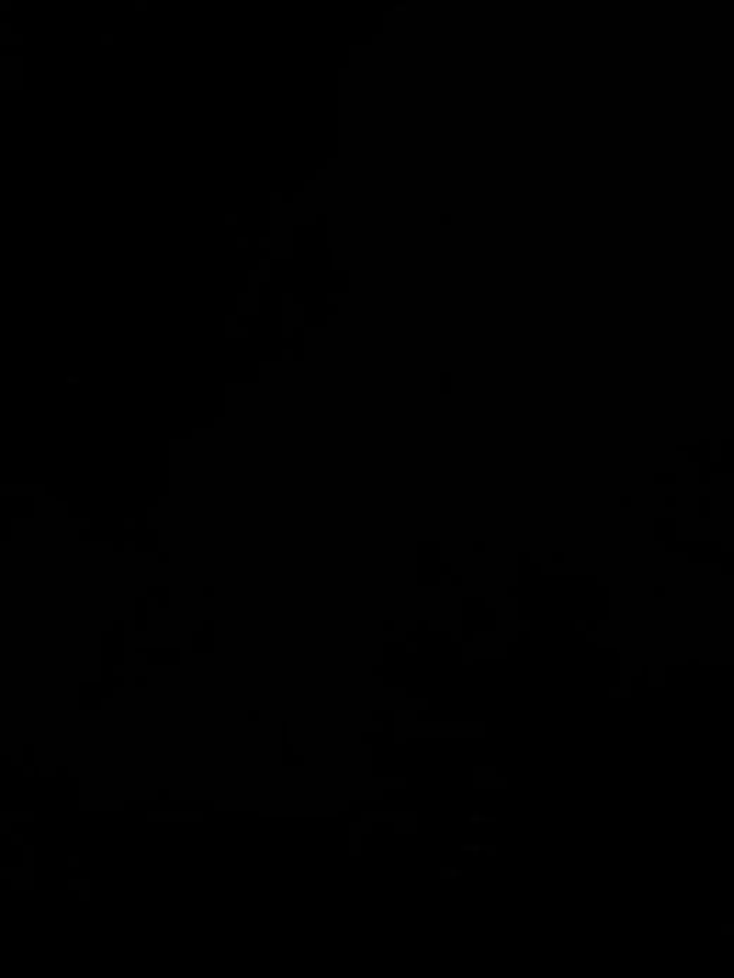 S_efnun의 날갯짓을 하기 위해