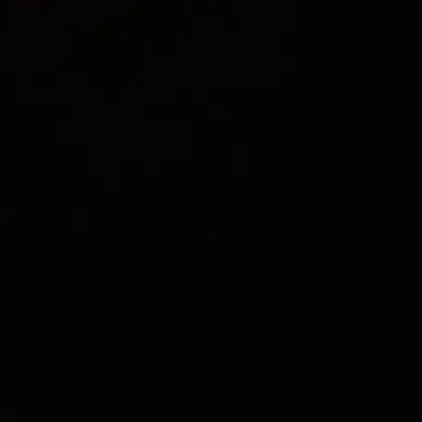 Profile image of 송은석