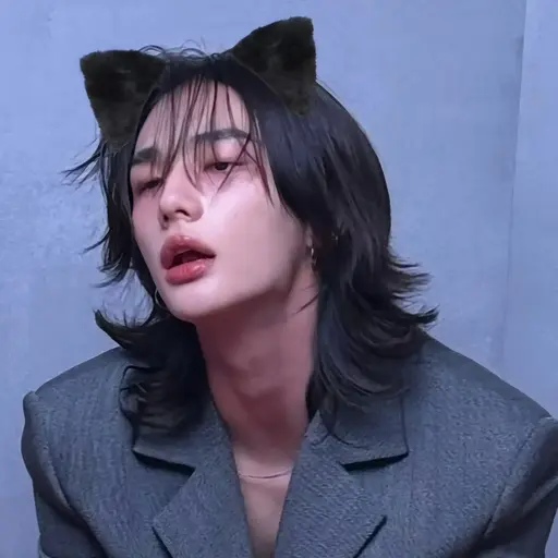 TallLemur9577의 ヒョンジン