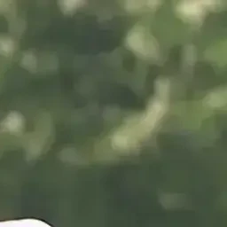 이지훈