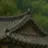 임라윤