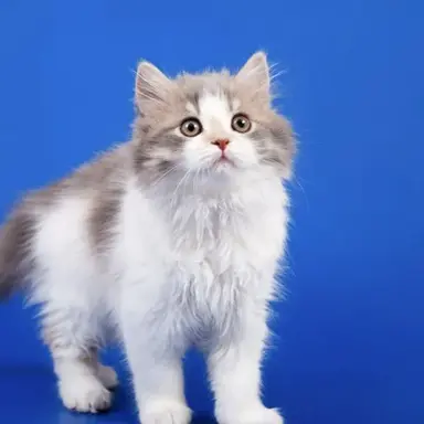 Profile image of 김민정