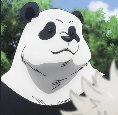 Profile image of Panda
