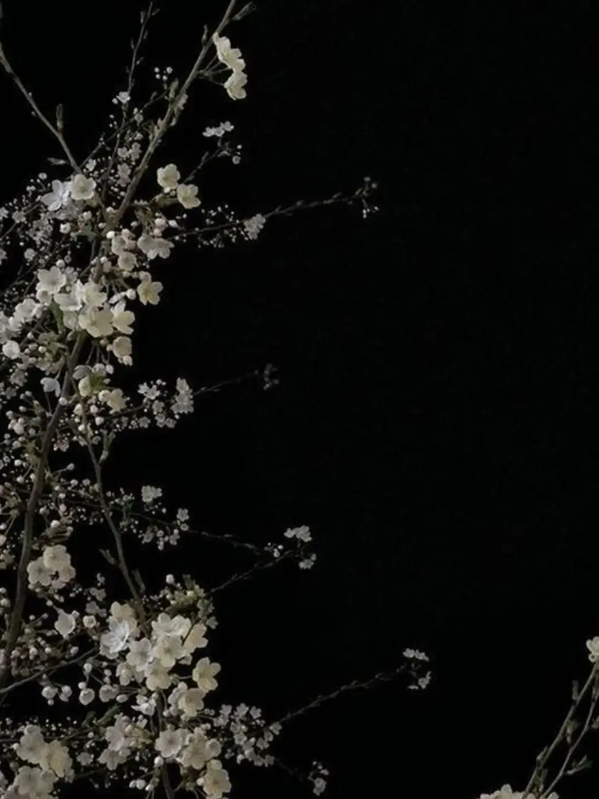 SleepAllDays의 地球の裏側。