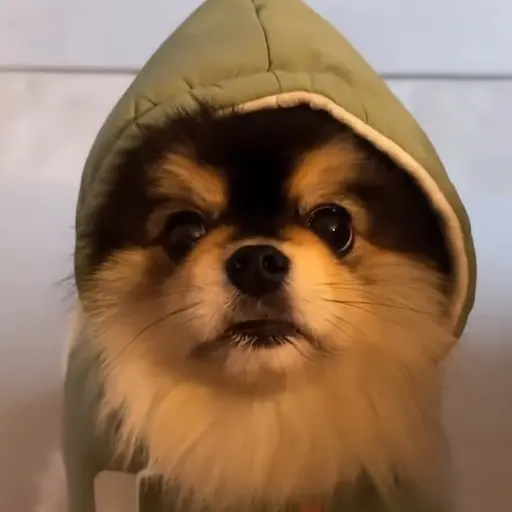 UniqueTrill4077의 사춘기 온 몰리