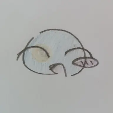 Profile image of パラオ