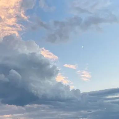 Profile image of 연하늘