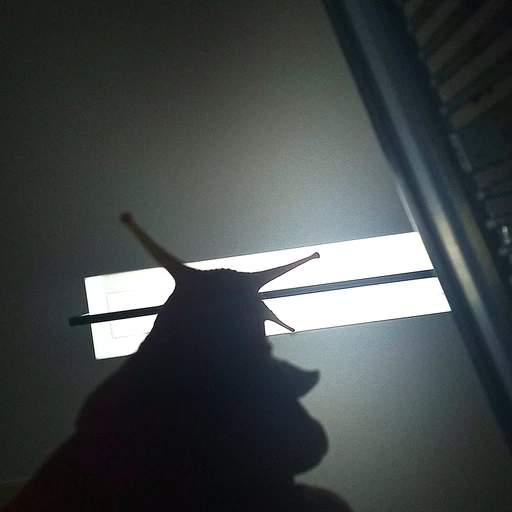 비아