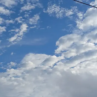 Profile image of 잠뜰