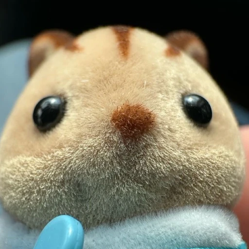 김아인