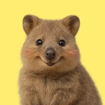 Profile image of 한