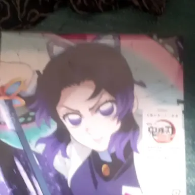 Profile image of 胡蝶 しのぶ