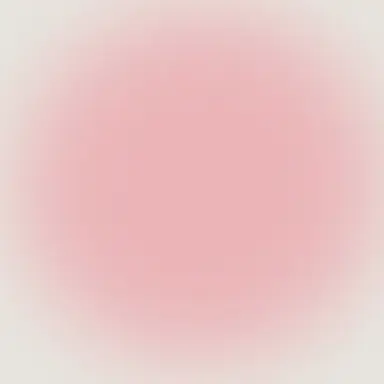 Profile image of ニキ