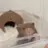 햄찌