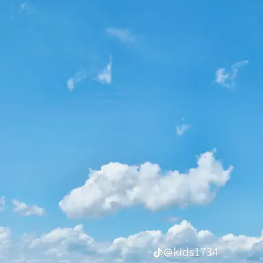 Profile image of 하이찬