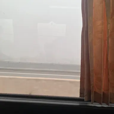 Profile image of 노세범