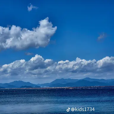 Profile image of 온은유