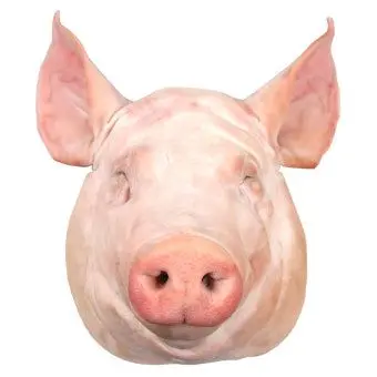 Profile image of 김돼지