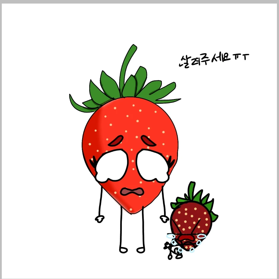 딸기가족