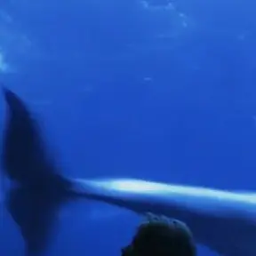 Profile image of 大森 元貴