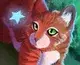 FitYawn1003의 Warrior Cats RP